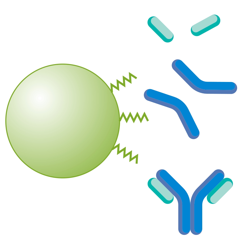 Protein identification and impurity profiling