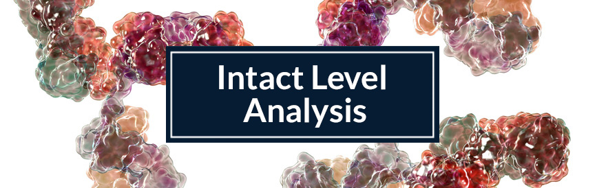 Intact level analysis banner