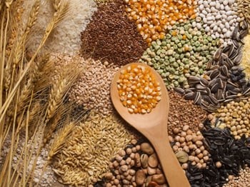 Grains and seeds