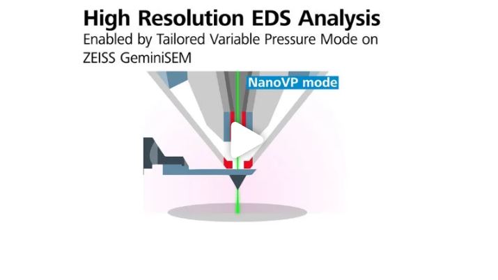 EDS Analysis